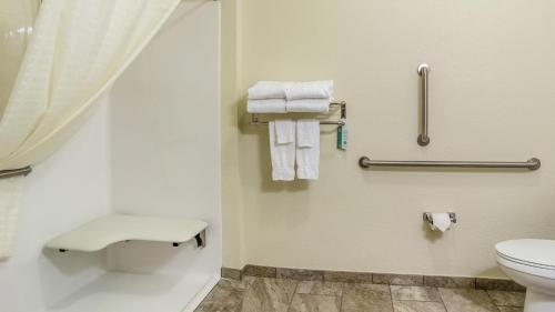 a bathroom with a toilet and a shower with towels at Cobblestone Inn & Suites Steele in Steele
