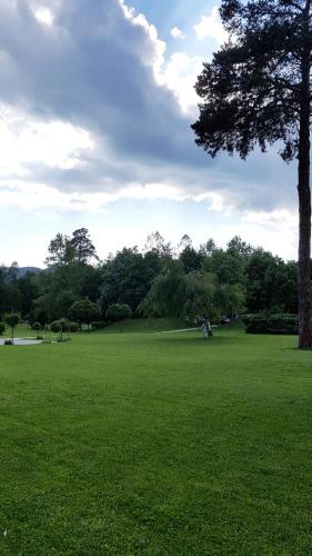 a large green field with a tree in the middle at Garni Hotel Zvon in Zreče
