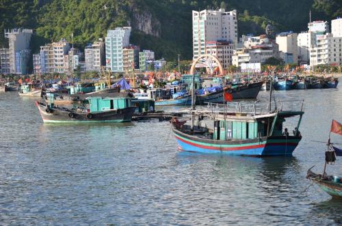 a group of boats in the water in a city at Phuong Mai Family Hotel in Cat Ba