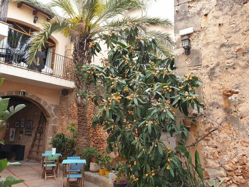 a tree with oranges on it next to a building at Hotel Segles - Turismo de Interior in Campos