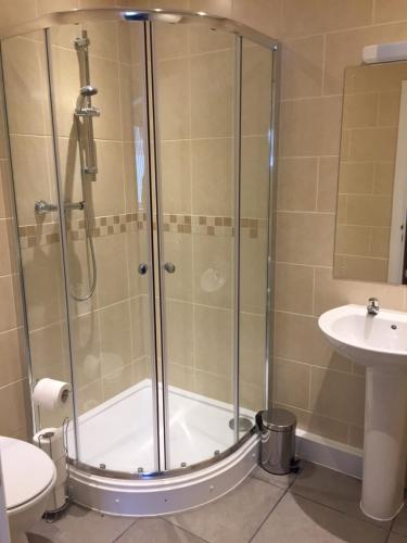 a bathroom with a shower and a sink at Neuadd Henllan Lodge in Builth Wells
