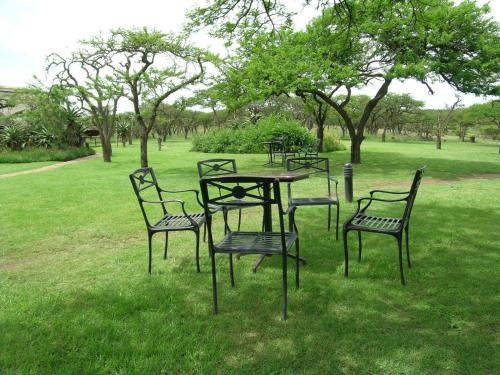 a group of chairs and a table in the grass at Tala Collection Game Reserve in Silverton