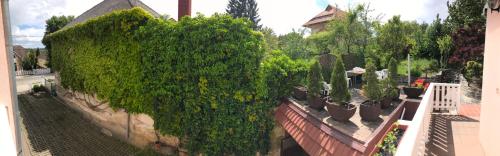 Сад в Friends Villa Apartments 2