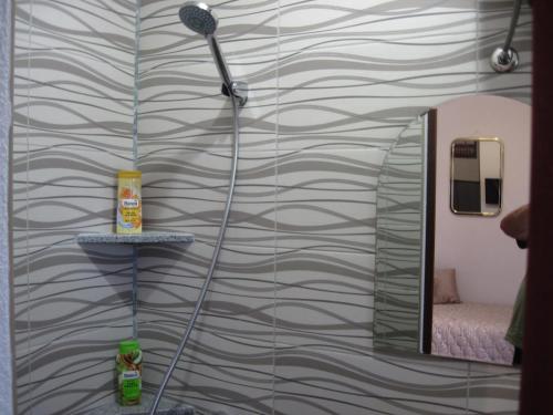 y baño con ducha y pared. en Room Yasica 2, en Izačić