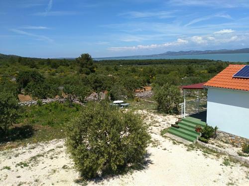 Fotografie z fotogalerie ubytování Robinson Crusoe v destinaci Drage