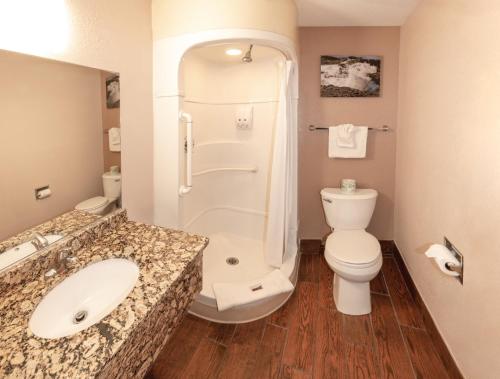 a bathroom with a toilet and a shower and a sink at Budgetel Inn & Suites in Yuma