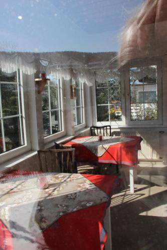 a room with a table and chairs and windows at Pension Haus Martha in Bad Grund