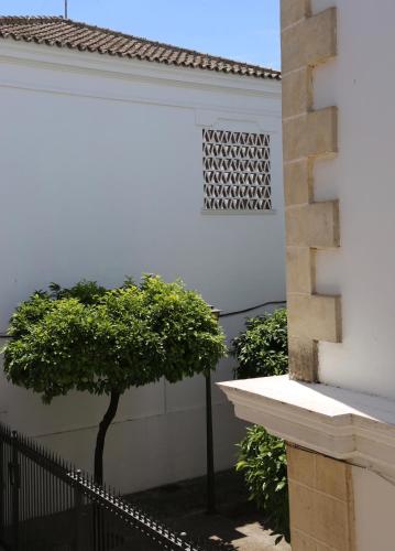 a tree in front of a white building with a window at Entre Bodegas Jerez in Jerez de la Frontera