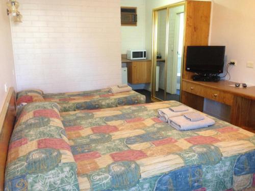 1 dormitorio con 2 camas y TV. en Colonial Motor Lodge Scone, en Scone