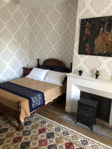 Un dormitorio con una cama y una chimenea. en Chateau de Grand Bonnefont, en Limoges