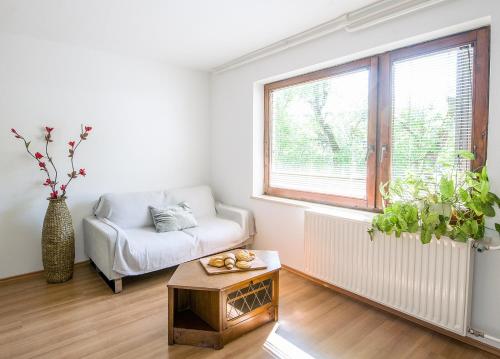 a living room with a couch and a table at Apartmaji Baron in Bled