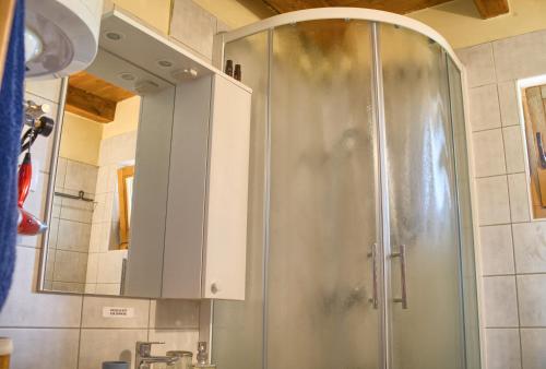 a shower with a glass door in a bathroom at STONE HOUSE VLASTA in Drniš