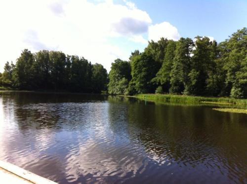 a river with trees and clouds in the water at Kolbäcks Gästgivaregård in Kolbäck