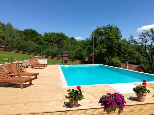 a swimming pool on a wooden deck with chairs and flowers at Grebengradska Medna Hiža in Donje Makojišće