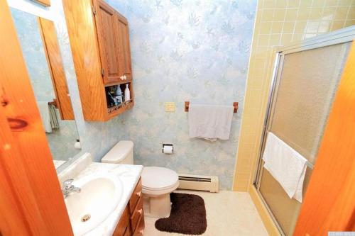a bathroom with a sink and a toilet and a shower at Red Ranch Inn in Catskill