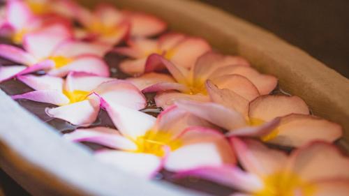 a bunch of pink and yellow flowers in a bowl at Ayur Ayur Resort & Ayurveda Retreat in Negombo