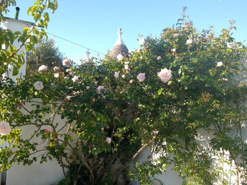 a tree with pink roses in front of a building at Trulli di Ivana in Ostuni