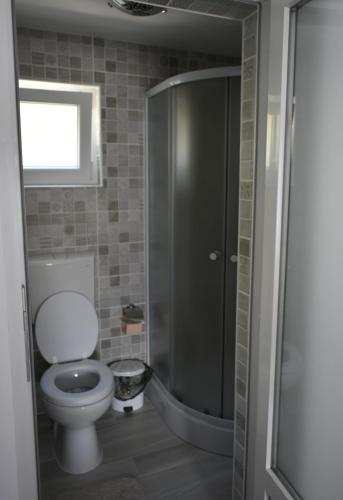 a bathroom with a toilet and a shower at Cazare Moldi Btt in Câmpulung Moldovenesc