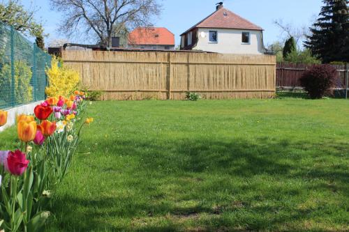 a yard with a fence and a bunch of tulips at Apartment Dream in Františkovy Lázně
