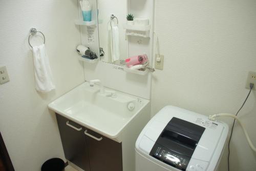 富士河口湖的住宿－慶村柴田邸 Yoshimura House Hotel 5，一间带水槽和镜子的小浴室