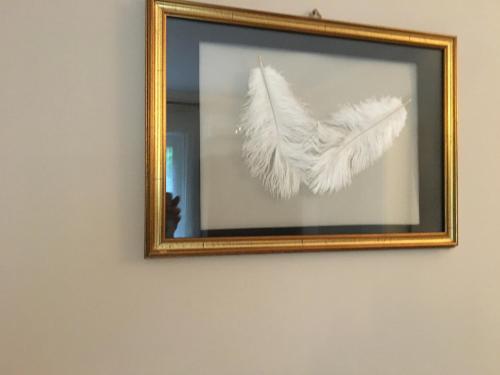 Castelnuovo NigraにあるB&B La libellulaのギャラリーの写真