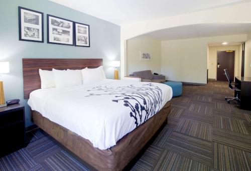 Ein Bett oder Betten in einem Zimmer der Unterkunft Sleep Inn & Suites Chesapeake - Portsmouth