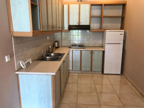Kuhinja oz. manjša kuhinja v nastanitvi Petros Rooms & Apartments