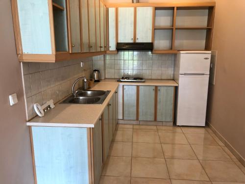 Kuchyň nebo kuchyňský kout v ubytování Petros Rooms & Apartments