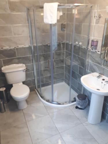 a bathroom with a shower and a toilet and a sink at Eask View Dingle - Room Only in Dingle
