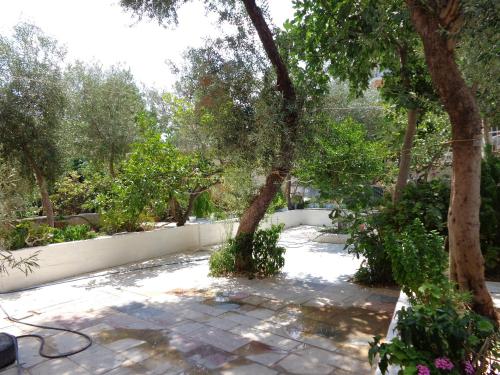 a garden with a tree and a stone patio at Katerina Hotel in Tolo