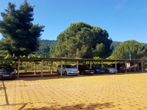 a group of cars parked in a parking lot at Katina's House in Vourvourou