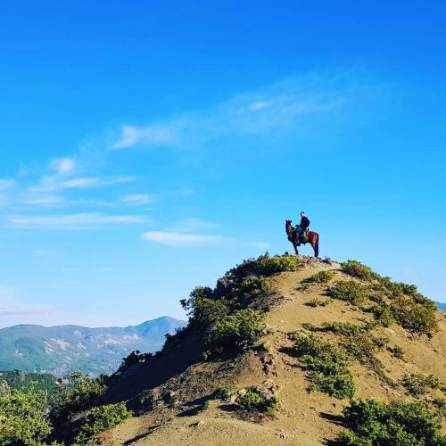a horse standing on top of a hill at Funky Guest House & Adventures in Përmet
