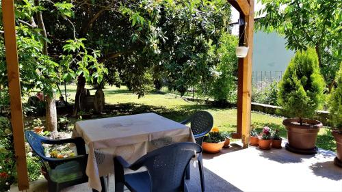 una mesa y sillas en un patio con plantas en Apartments Pinikot, en Star Dojran
