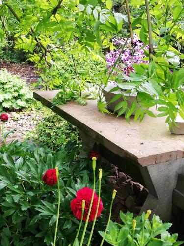 a garden with red flowers and a stone bench at idylische Ferienwohnung in Schollbrunn