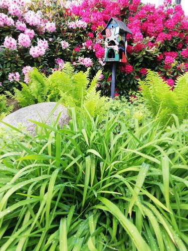 a bird feeder in a garden with pink flowers at idylische Ferienwohnung in Schollbrunn