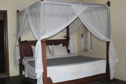 Gallery image of Bali Villa coral in Amed