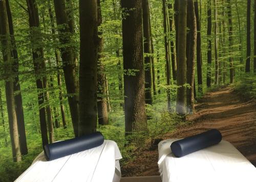 two pillows on a bed in a forest at Gran Hotel Balneario De Puente Viesgo in Puente Viesgo