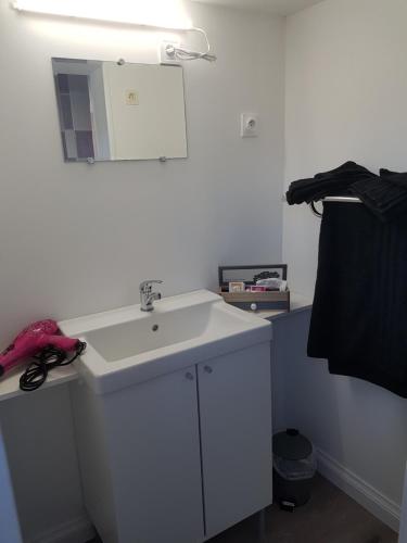 ein Badezimmer mit einem weißen Waschbecken und einem Spiegel in der Unterkunft Le Paradis in Fressies