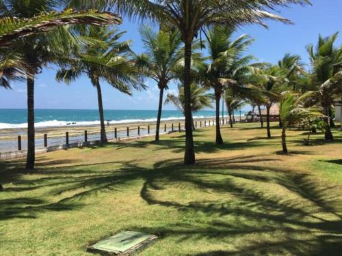 a group of palm trees on a beach with the ocean at Beach Class Resort 2 quartos Muro Alto BMS in Porto De Galinhas