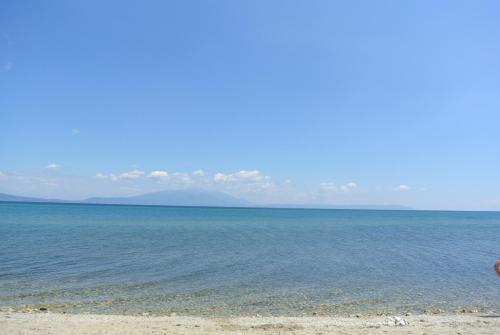 Gallery image of Milies Apartments in Stavros