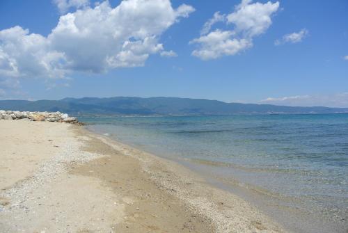 Gallery image of Milies Apartments in Stavros