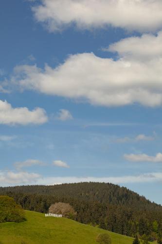 a green field with a hill with trees in the background at Hotel Petra in Baiersbronn