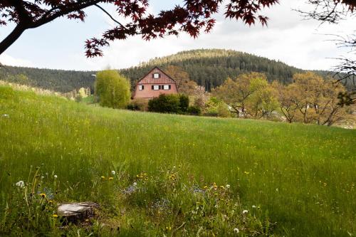 a house on a hill in a field of grass at Hotel Petra in Baiersbronn