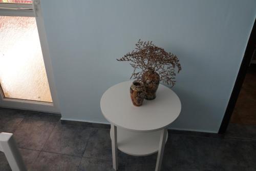 Φωτογραφία από το άλμπουμ του Guest House Аnestievi σε Αγαθούπολη