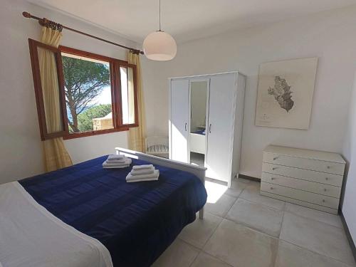 a bedroom with a blue bed and a mirror at Ammiraglio in Campese