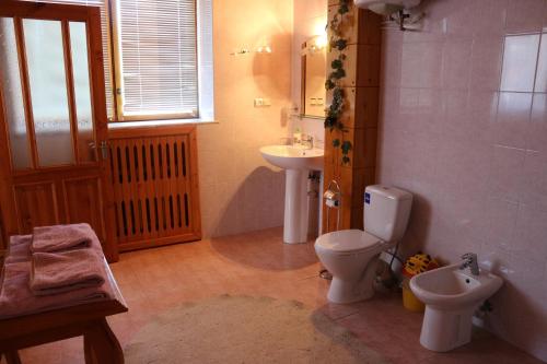 a bathroom with a toilet and a sink at Усадьба-Музей in Tîrnauca