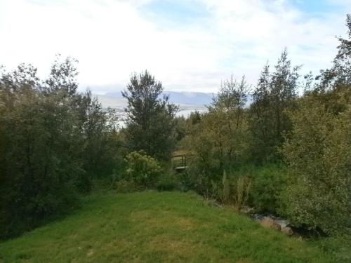 a field with trees and a bench in the distance at Björkin – Cozy Cabin with excellent view in Akureyri