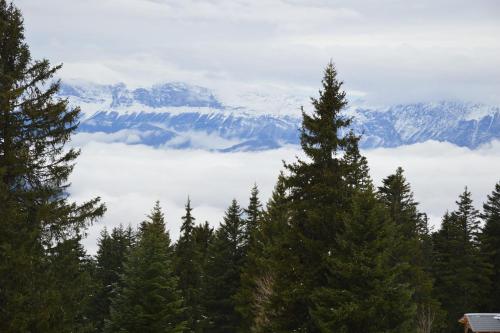 a view of the mountains from above the clouds at Charmant studio cabine COCOON à 100 m des pistes in Chamrousse