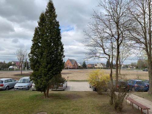 a large christmas tree in a parking lot with cars at Homely apartment in Kėdainiai in Kėdainiai