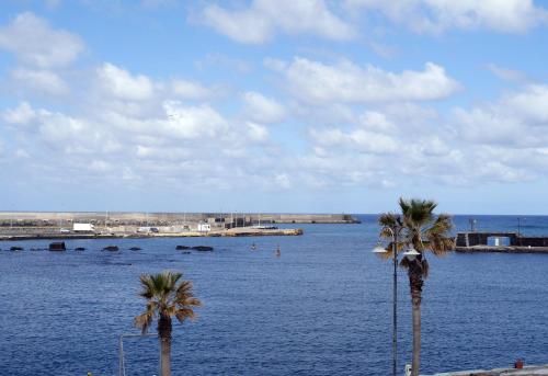 two palm trees in front of a large body of water at I Dammusi Sapori di Pantelleria in Pantelleria